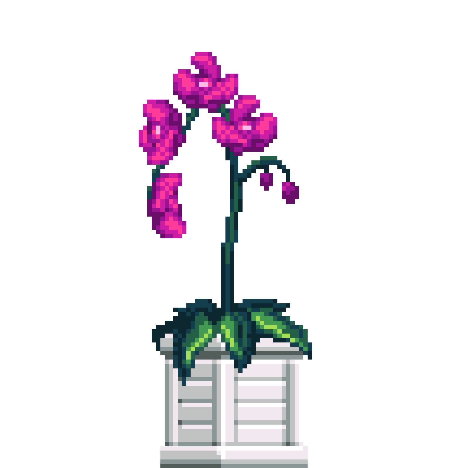 Purple Orchid in Wood Crate pot